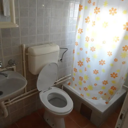 Πανσιόν Prenociste Ankica 3*