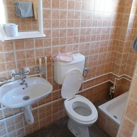 Guest house Prenociste Ankica *